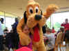Aw! Pluto!