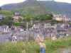 gy47.jpg (114495 bytes)