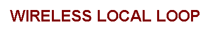 Cuadro de texto: Wireless Local Loop
