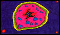 See the Doodle Film