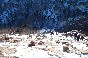 Sorak, Korea