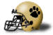 DePauw Tigers