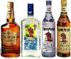 Favorite Drinks and Recipes