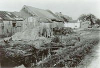 Haresnape Farm
