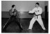 freestyle-vs-tradi-karate