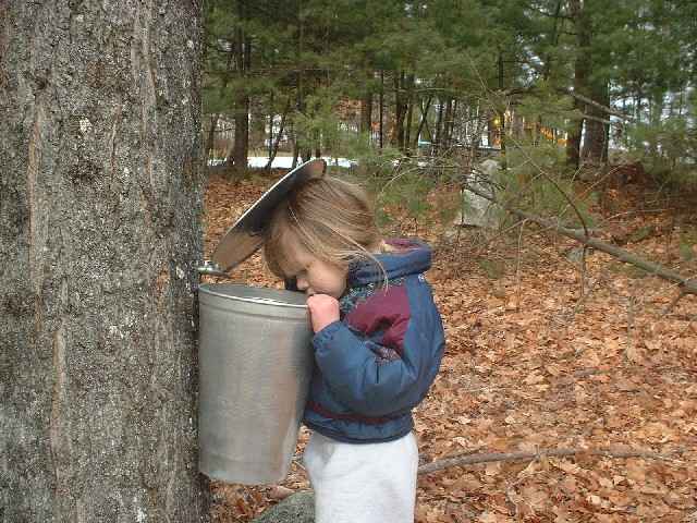 Laura Loo checking for sap