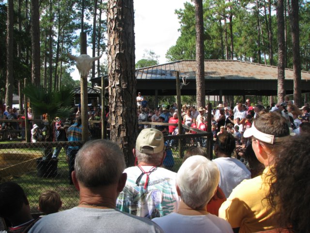 img_0230.jpg