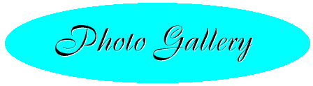 photo.gif (3258 bytes)