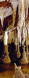 Waipuna water stain (17559 bytes)