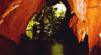Walk in entrance, White's Cave. 7586 bytes)