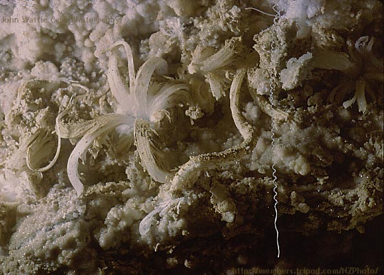 gypsum.JPG (69889 bytes)