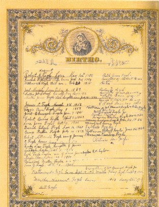 Click to Enlarge - Press Back to Continue