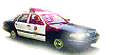New Police Car