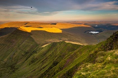 beacons