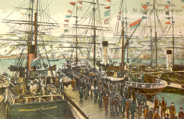 Sealing steamers. St.John's, Newfoundland.