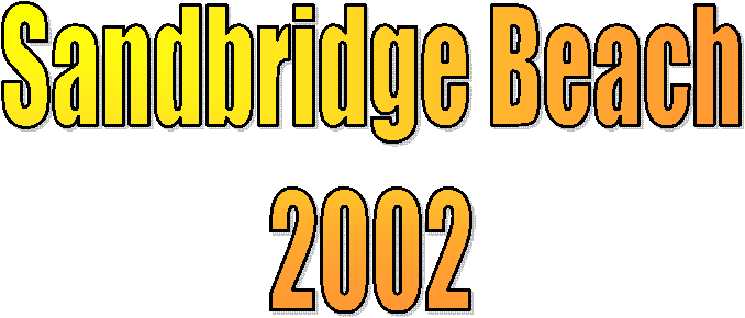 Sandbridge Beach
2002