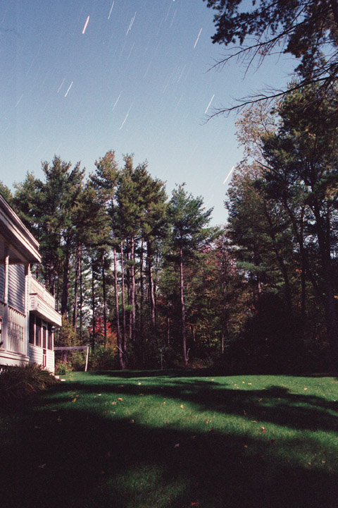 My backyard