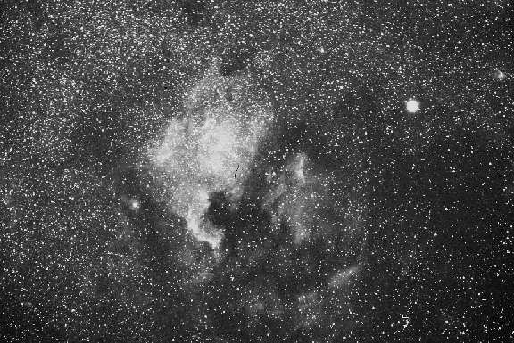 North American Nebula Luminance