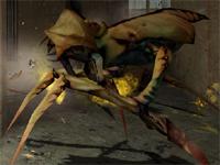 Ant Lion