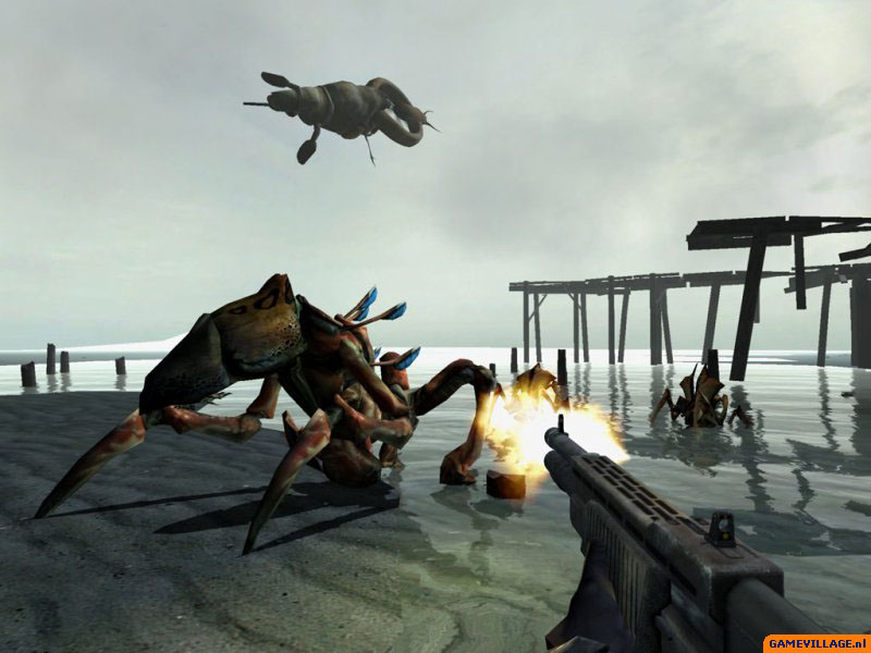 Shotgun vs. Antlion