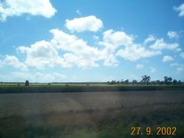 Cane fields near Bundaberg