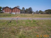 Level Crossing - Old Shell Siding