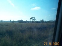 Scenery at 100kmh!