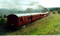 Steam train on Rosewood Railway