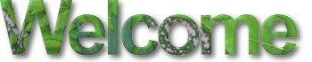 Welcome to our page
