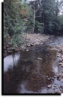 Smoky Mountain National Park