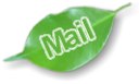 Send us some mail!!!