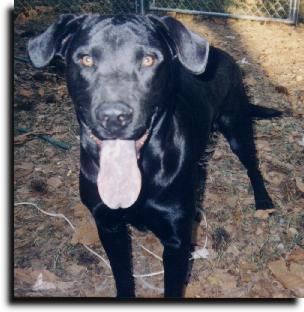 his tounge is VERY photogenic....