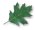 it's just a simple leaf....