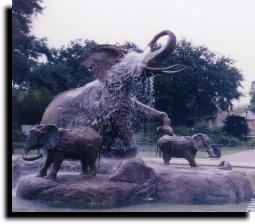 fountains in the zoo....