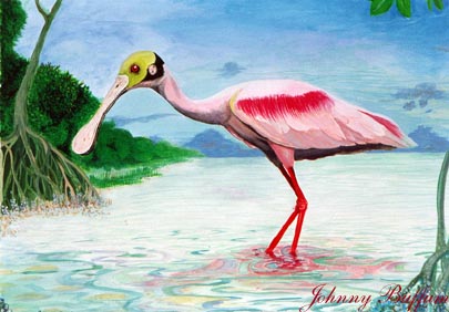 JBpinkrosetta