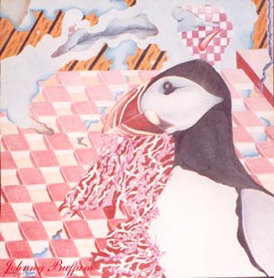 Puffin2