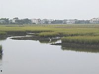 Click the marsh to enlarge.