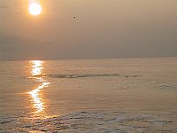The ripples are a school of fish. Click to enlarge.