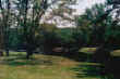 Sue McMullen 1999