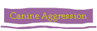 Canine Aggression