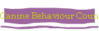 Canine Behaviour Counselling Skills