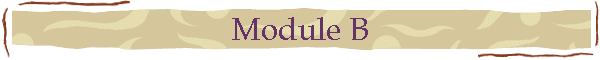 Module B