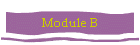 Module B