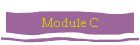 Module C