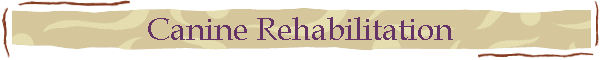 Canine Rehabilitation