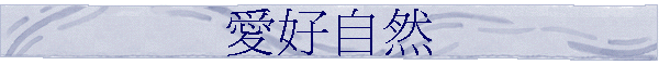 �R�n�۵M