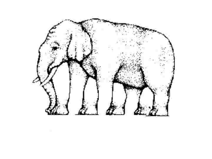 Click for next page.