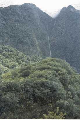 http://www.pacificislandtravel.com/hawaii/about_destin/parks_ioavalley.html