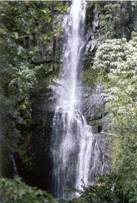 A waterfall on the road to Hana
