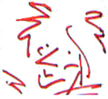 crissy.jpg (56740 bytes)